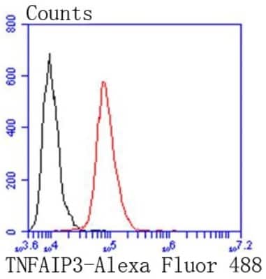 Flow Cytometry: A20/TNFAIP3 Antibody (SN07-31) [NBP2-67676]