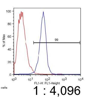 Flow Cytometry: ABCA1 Antibody (5A1-1422.11) - BSA Free [NB400-165]