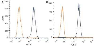 Flow Cytometry: ABCA1 Antibody (HJ1) - Azide and BSA Free [NBP2-80554]