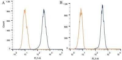 Flow Cytometry: ABCA1 Antibody (HJ1) - BSA Free [NB100-2068]