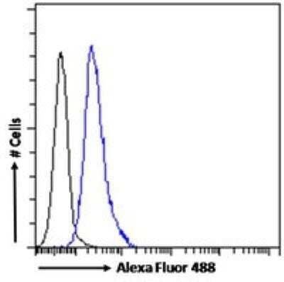 Flow Cytometry: ABCA9 Antibody [NB100-93469]
