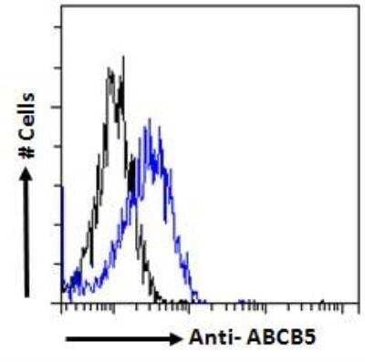Flow Cytometry: ABCB5 Antibody [NB100-93365]
