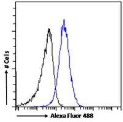 Flow Cytometry: ABCC11 Antibody [NBP1-20944]