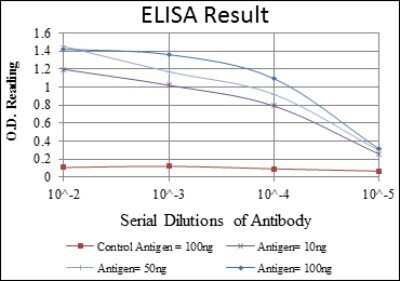 ELISA: ABCG2/CD338 Antibody (3G8) - Azide and BSA Free [NBP2-80558]
