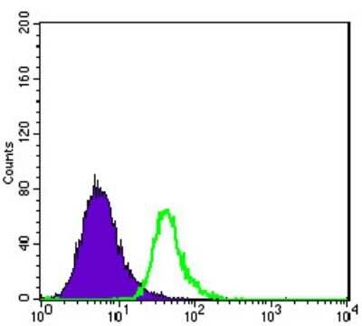 Flow Cytometry: ABCG2/CD338 Antibody (3G8) - Azide and BSA Free [NBP2-80558]