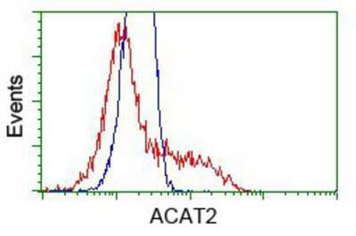 Flow Cytometry: ACAT2 Antibody (OTI3E2) [NBP2-02588]