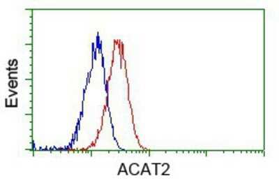 Flow Cytometry: ACAT2 Antibody (OTI3E2) - Azide and BSA Free [NBP2-70068]