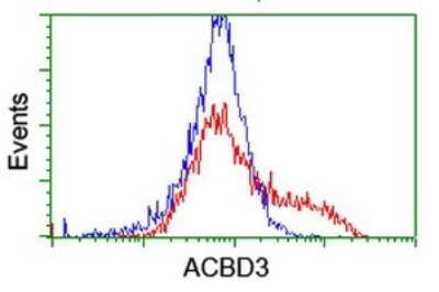 Flow Cytometry: ACBD3 Antibody (OTI1G2) [NBP2-46478]