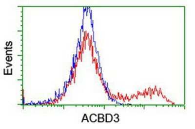 Flow Cytometry: ACBD3 Antibody (OTI3A1) [NBP2-03720]