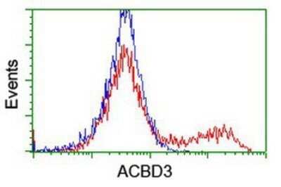 Flow Cytometry: ACBD3 Antibody (OTI3A1) - Azide and BSA Free [NBP2-72149]