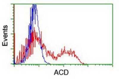 Flow Cytometry: ACD Antibody (OTI1A2) - Azide and BSA Free [NBP2-72170]