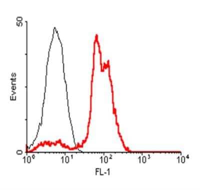 Flow Cytometry: ACE-2 Antibody (AC18F) - Azide and BSA Free [NBP2-80035]