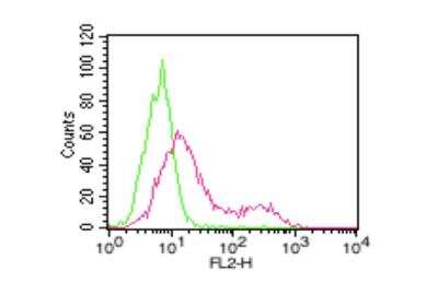 Flow Cytometry: ACE-2 Antibody (AC18F) - Azide and BSA Free [NBP2-80035]