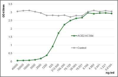 Functional: ACE-2 Antibody (AC384) - Azide and BSA Free [NBP2-80038]