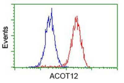 Flow Cytometry: ACOT12 Antibody (OTI1A11) [NBP2-03605]