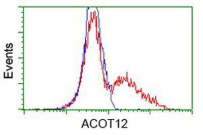 Flow Cytometry: ACOT12 Antibody (OTI1A11) [NBP2-03605]