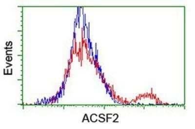 Flow Cytometry: ACSF2 Antibody (OTI6E4) [NBP2-02027]