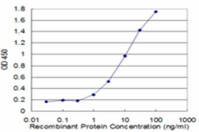 ELISA: ACTR1A Antibody (3E5) [H00010121-M08]