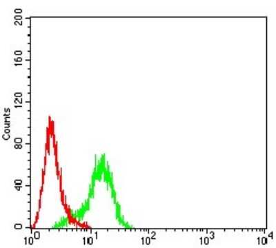 ELISA: ACTR3 Antibody (3G2C9) - BSA Free [NBP2-61806]