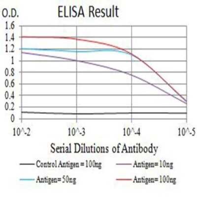 ELISA: ACTR3 Antibody (3G2G1) - BSA Free [NBP2-61807]