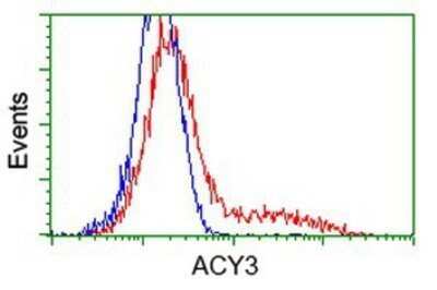 Flow Cytometry: ACY3 Antibody (OTI2D5) - Azide and BSA Free [NBP2-72329]