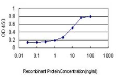 ELISA: ADAM12 Antibody (1G3) [H00008038-M01]