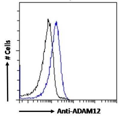 Flow Cytometry: ADAM12 Antibody [NB300-889]