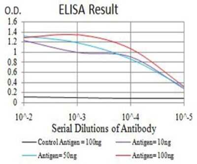ELISA: ADAMTS1 Antibody (1C12E6) - BSA Free [NBP2-61815]