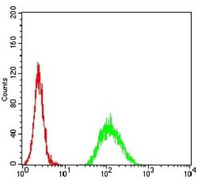 Flow Cytometry: ADAMTS1 Antibody (1C12E6) - BSA Free [NBP2-61815]