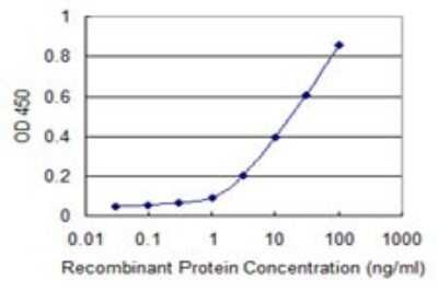 ELISA: ADAMTS17 Antibody (3B7) [H00170691-M01]