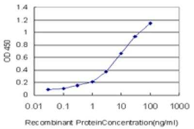 ELISA: ADAMTS2 Antibody (7G3) [H00009509-M03]