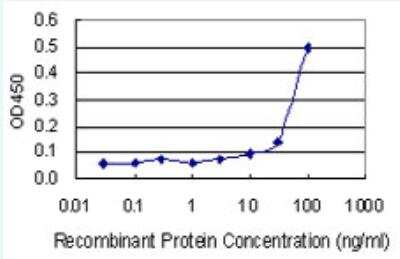 ELISA: ADAMTS3 Antibody (1H8) [H00009508-M10-100ug]