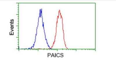Flow Cytometry: ADE2 Antibody (OTI1B4) - Azide and BSA Free [NBP2-71610]