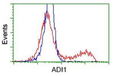 Flow Cytometry: ADI1 Antibody (OTI5C2) [NBP2-03121]