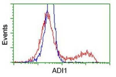 Flow Cytometry: ADI1 Antibody (OTI5C2) - Azide and BSA Free [NBP2-71994]