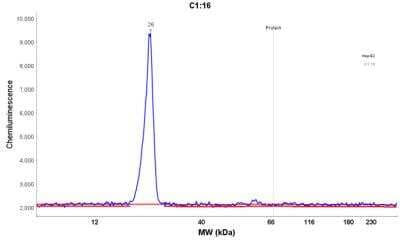 Simple Western: ADI1 Antibody [NBP2-38251]