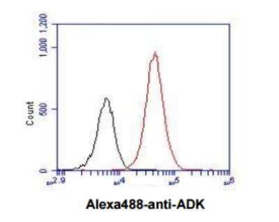 Flow Cytometry: ADK Antibody (4F8) - BSA Free [NBP1-97934]