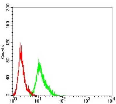 Flow Cytometry: AEBP2 Antibody (2D7B6) - BSA Free [NBP2-61822]
