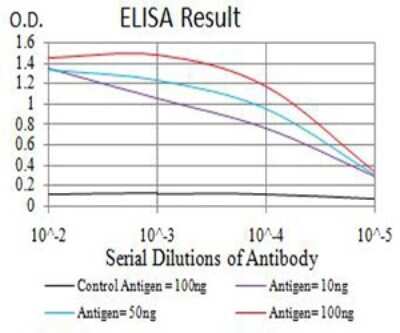 ELISA: AEBP2 Antibody (3E3C10) - BSA Free [NBP2-61835]