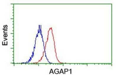 Flow Cytometry: AGAP1 Antibody (OTI4E8) - Azide and BSA Free [NBP2-72357]