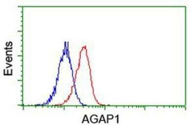 Flow Cytometry: AGAP1 Antibody (OTI4E8) [NBP2-01708]