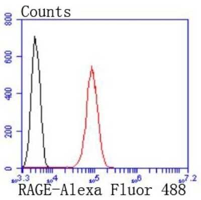 Flow Cytometry: AGER Antibody (JF0975) [NBP2-67095]