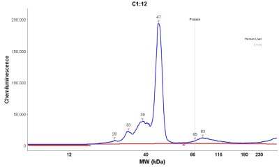 Simple Western: AGXT Antibody [NBP1-89200]