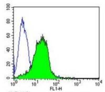 Flow Cytometry: AHR Antibody (RPT9) - BSA Free [NB300-515]