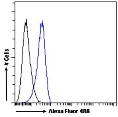 Flow Cytometry: AIF-1/Iba1 Antibody [NB100-2833]