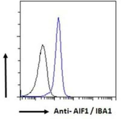 Flow Cytometry: AIF-1/Iba1 Antibody [NBP1-06014]