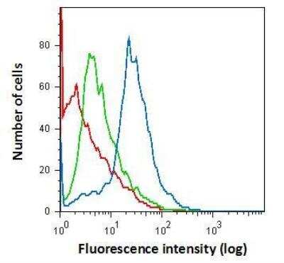 Flow Cytometry: AIF-1/Iba1 Antibody [NBP2-16908]