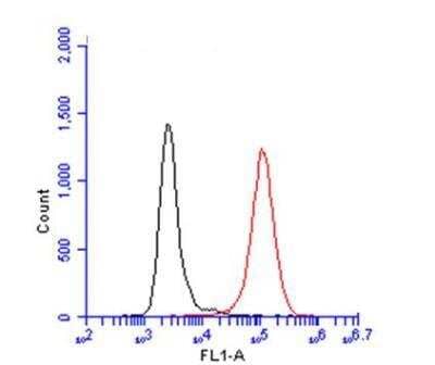 Flow Cytometry: AIF-1/Iba1 Antibody [NBP2-19019]