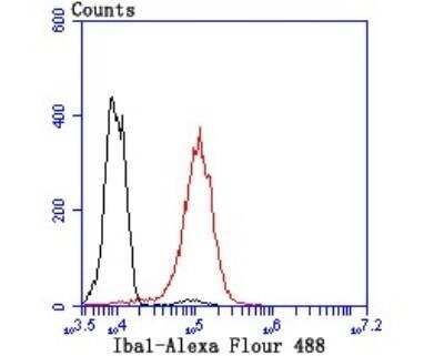 Flow Cytometry: AIF-1/Iba1 Antibody (JM36-62) [NBP2-75397]