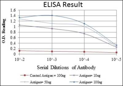 ELISA: AIF Antibody (4E7) - BSA Free [NBP2-37577]